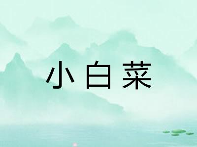 小白菜