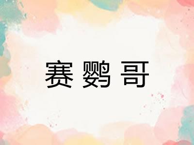 赛鹦哥 赛鹦哥