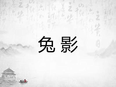 兔影