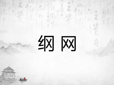纲网