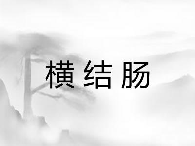 横结肠