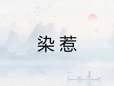 染惹