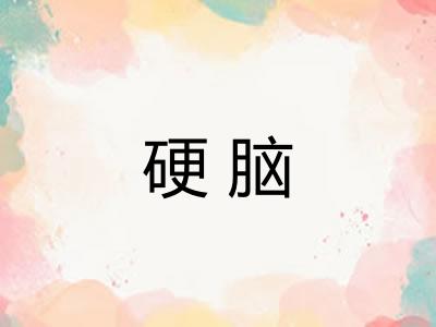 硬脑 硬脑