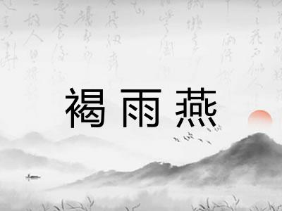 褐雨燕