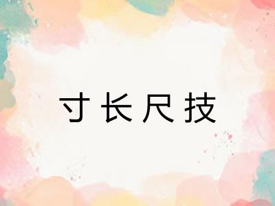 寸长尺技