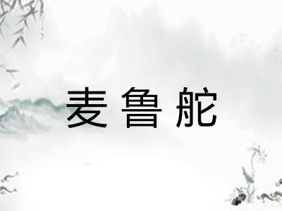 麦鲁舵