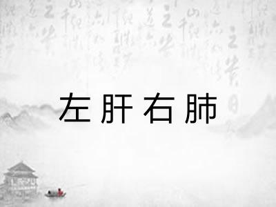 左肝右肺 左肝右肺
