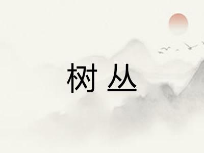 树丛 树丛