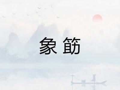 象筯