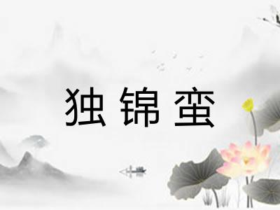 独锦蛮