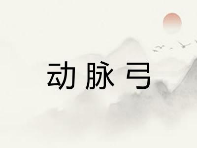 动脉弓