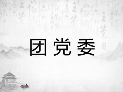 团党委 团党委