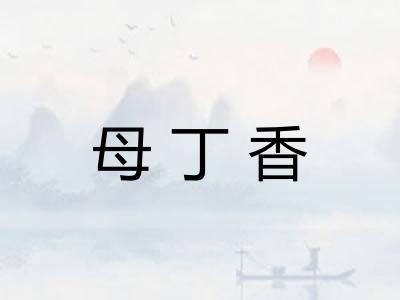 母丁香 母丁香