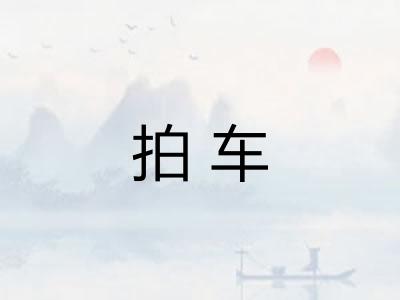拍车