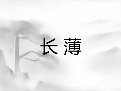 长薄 长薄