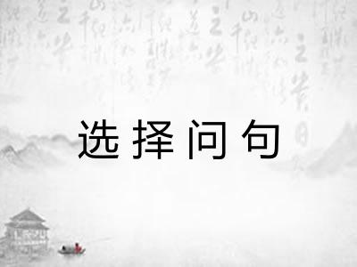 选择问句 选择问句