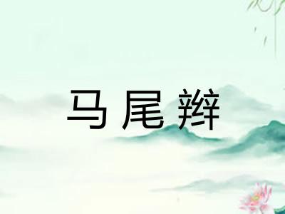 马尾辫