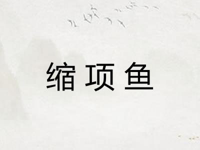 缩项鱼