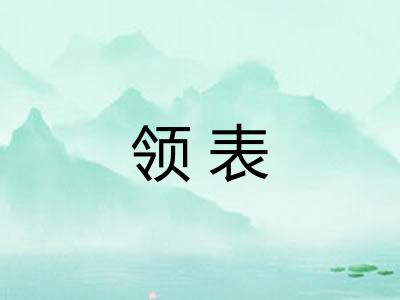 领表