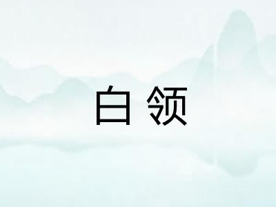 白领 白领