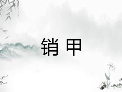 销甲