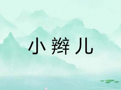 小辫儿
