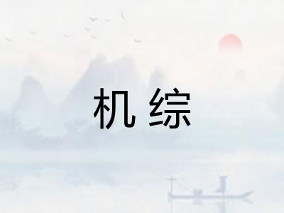 机综 机综
