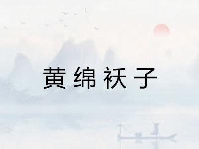 黄绵袄子 黄绵袄子