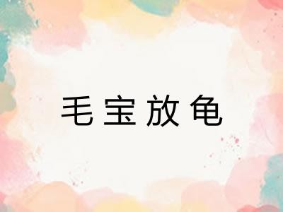 毛宝放龟 毛宝放龟