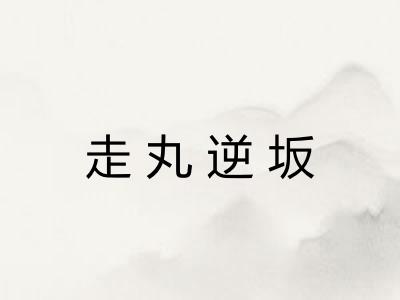 走丸逆坂 走丸逆坂