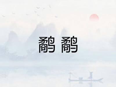 鹬鹬 鹬鹬