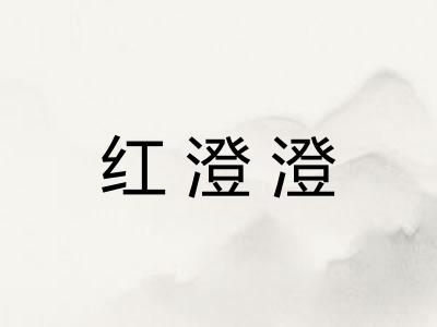 红澄澄 红澄澄