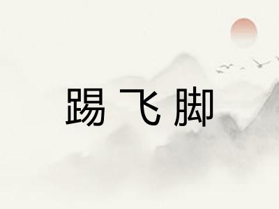踢飞脚 踢飞脚