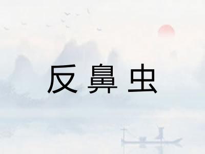 反鼻虫 反鼻虫