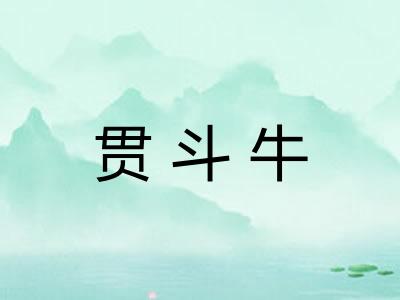 贯斗牛 贯斗牛