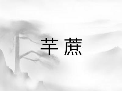 芉蔗