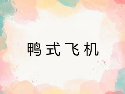 鸭式飞机 鸭式飞机