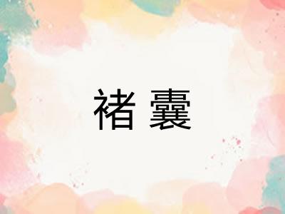 褚囊