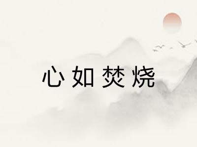 心如焚烧 心如焚烧