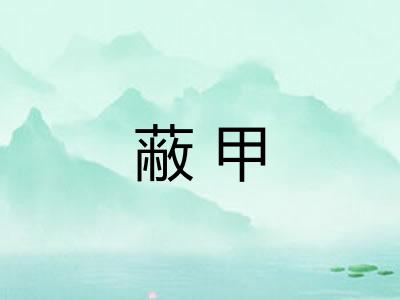 蔽甲