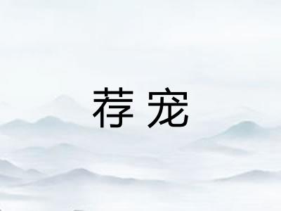 荐宠