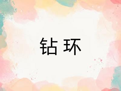 钻环