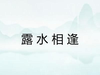 露水相逢 露水相逢
