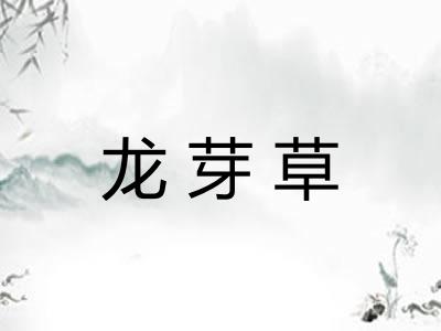 龙芽草