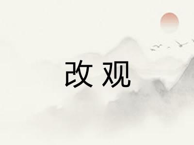 改观