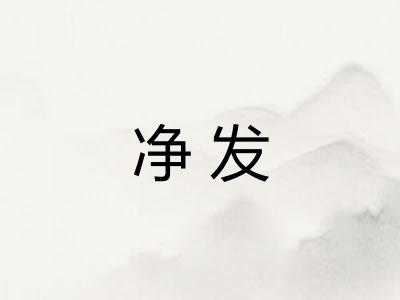 净发 净发