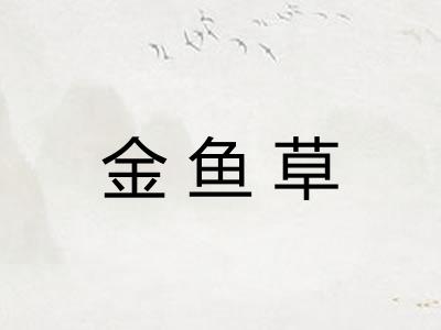 金鱼草
