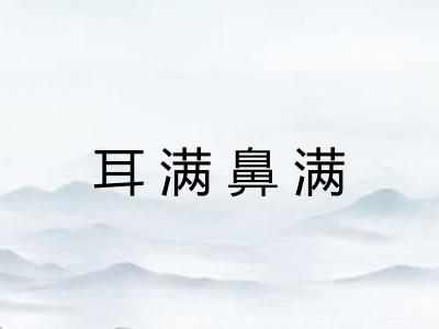 耳满鼻满