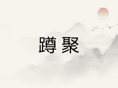 蹲聚