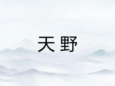 天野